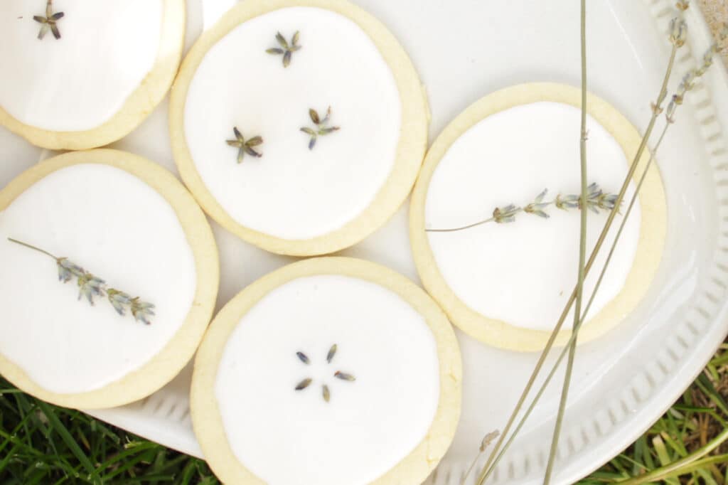 St. Mary Lavender Cookies and Gardens